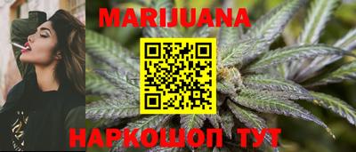 стаф Сланцы