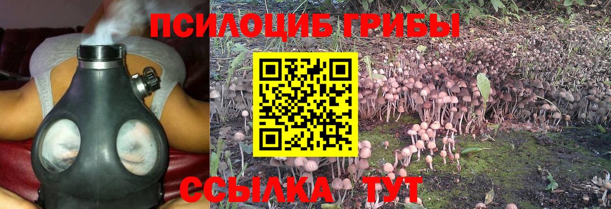 Галлюциногенные грибы мицелий Славянск-на-Кубани