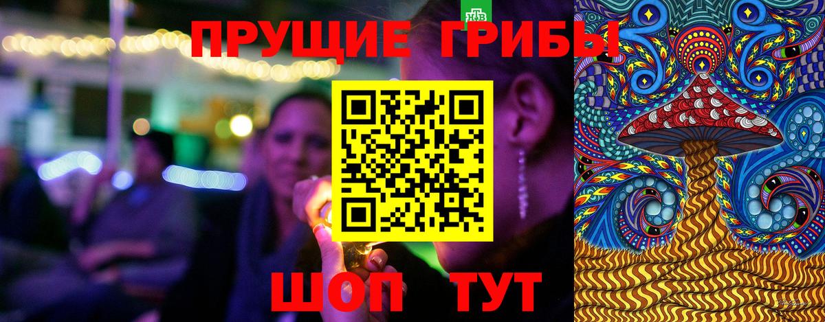 хочу наркоту  Вход с VPN  Славянск-на-Кубани  Галлюциногенные грибы прущие грибы 